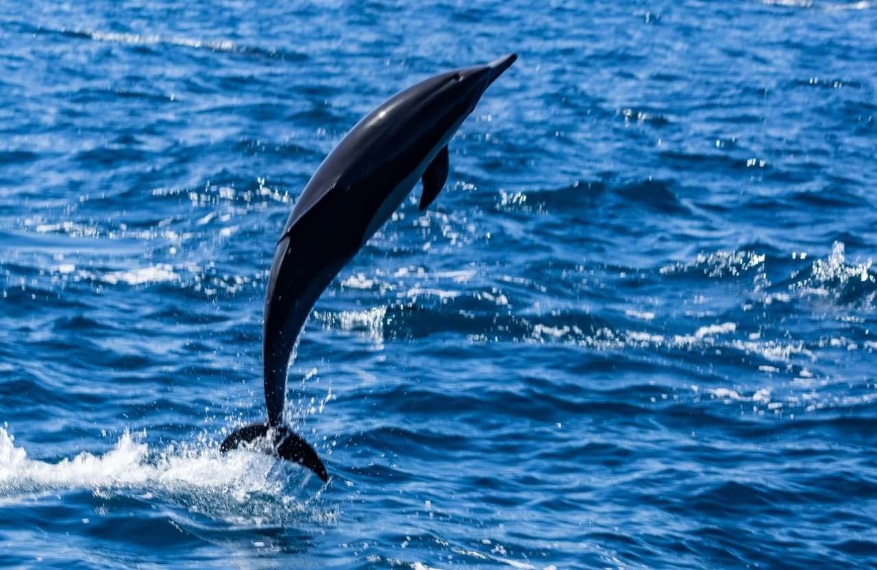 136e6c57 56d2 489d 9fec a0b177dbbcd3