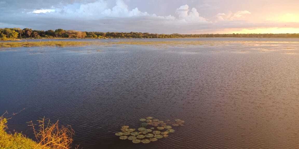 19946de6 478d 4263 96de d33e2f857a35