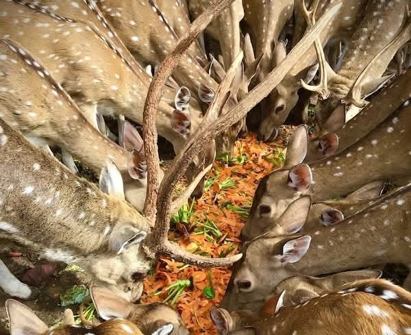 63fa2868 bb94 4095 a978 e37605a43501