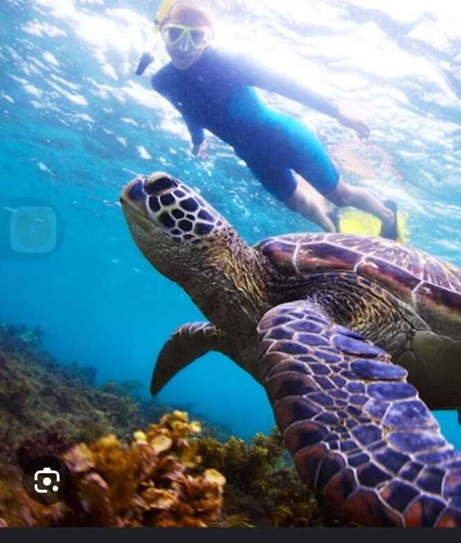 b83d304c ffee 4b78 ba5f bb43356a5992