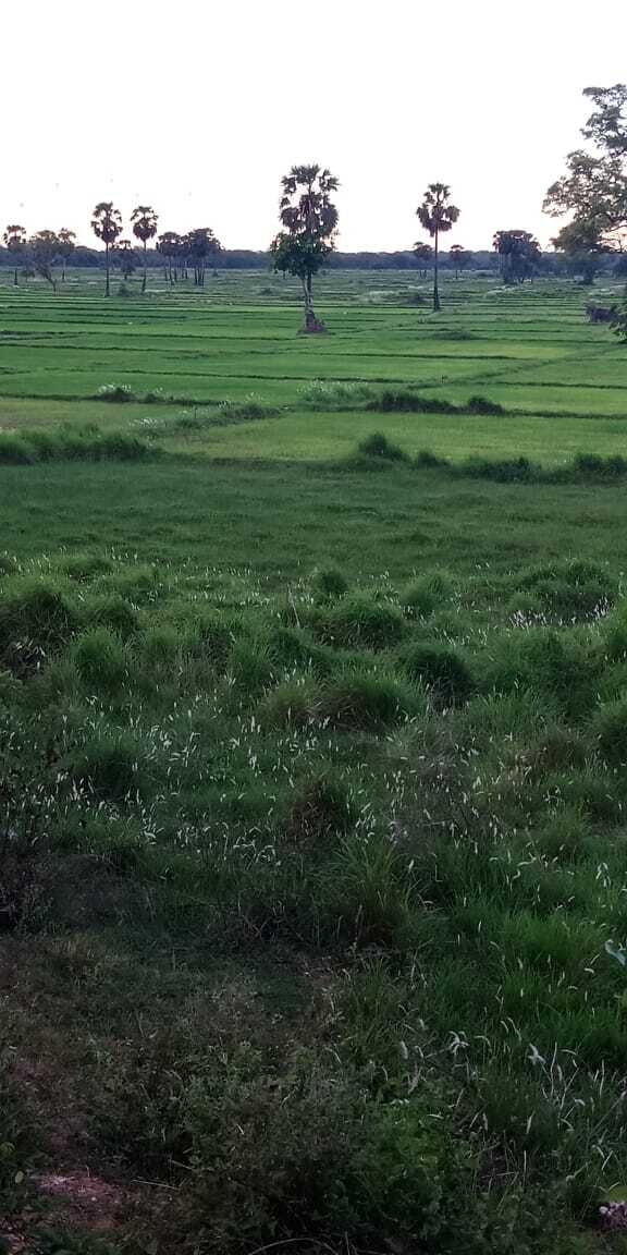 ddf4fde6 0881 4af7 b960 99ebf5e18cb5