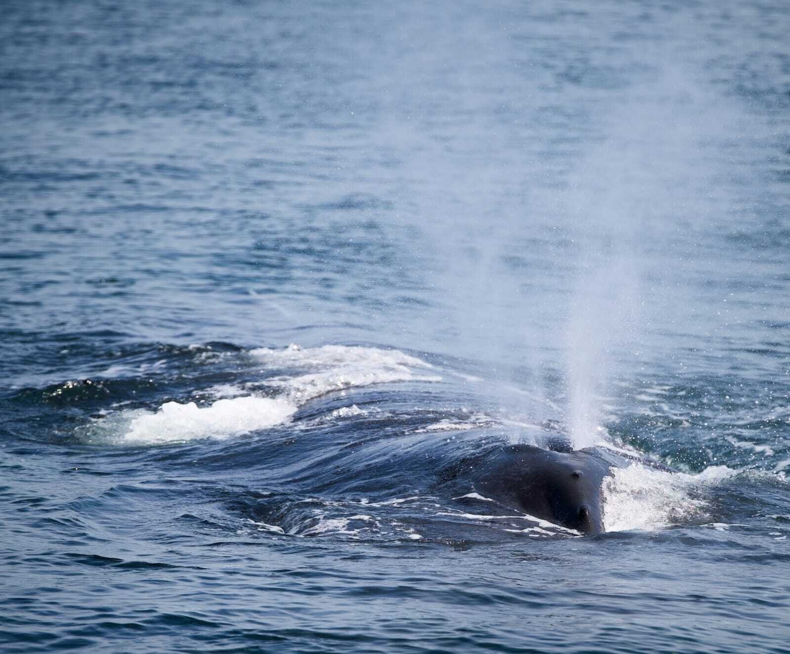 e30051fa 2229 42a2 a17a 287d5e069774