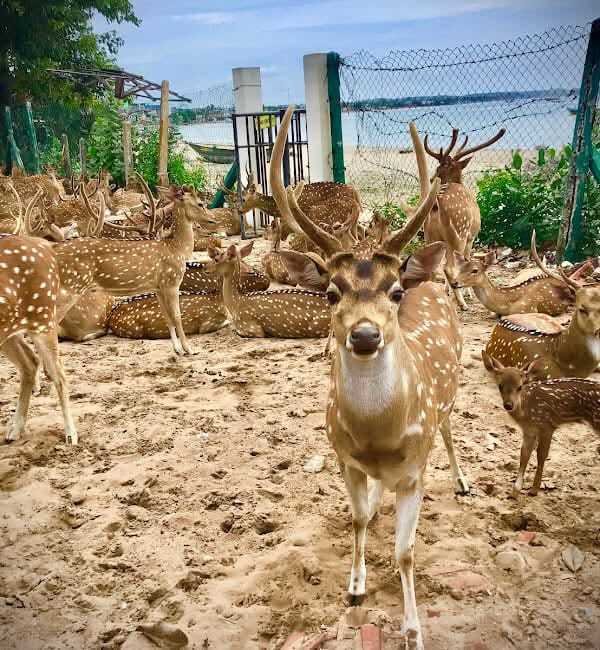 e64a0191 5a25 4d55 8646 ae7bb0ed128d