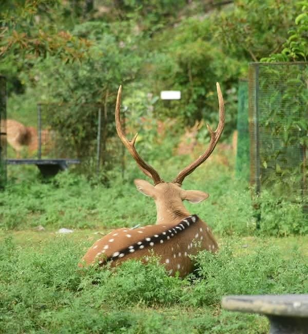 f3496e5c 2221 400d 959c ce6128adf50f